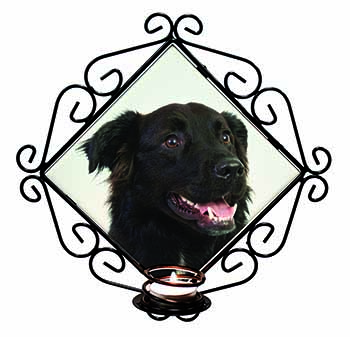 Black Border Collie Dog Wrought Iron Wall Art Candle Holder