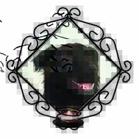 Black Border Collie Dog Wrought Iron Wall Art Candle Holder