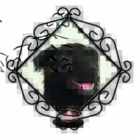 Black Border Collie Dog Wrought Iron Wall Art Candle Holder