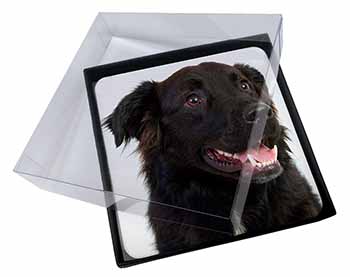 4x Black Border Collie Dog Picture Table Coasters Set in Gift Box