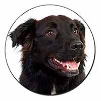 Black Border Collie Dog Fridge Magnet Printed Full Colour