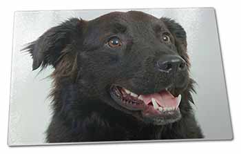 Large Glass Cutting Chopping Board Black Border Collie Dog