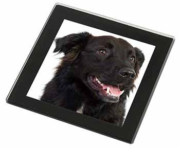Black Border Collie Dog Black Rim High Quality Glass Coaster