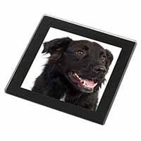 Black Border Collie Dog Black Rim High Quality Glass Coaster