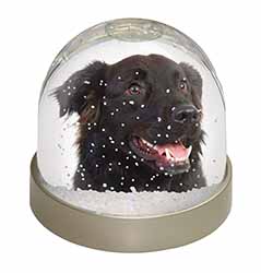 Black Border Collie Dog Snow Globe Photo Waterball