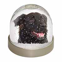 Black Border Collie Dog Snow Globe Photo Waterball