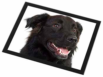 Black Border Collie Dog Black Rim High Quality Glass Placemat