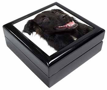Black Border Collie Dog Keepsake/Jewellery Box