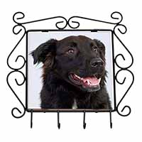 Black Border Collie Dog Wrought Iron Key Holder Hooks