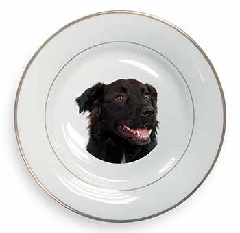 Black Border Collie Dog Gold Rim Plate Printed Full Colour in Gift Box