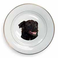 Black Border Collie Dog Gold Rim Plate Printed Full Colour in Gift Box