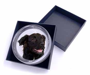 Black Border Collie Dog Glass Paperweight in Gift Box