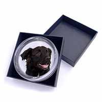 Black Border Collie Dog Glass Paperweight in Gift Box