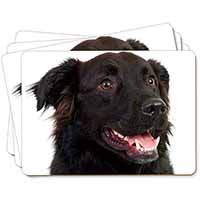 Black Border Collie Dog Picture Placemats in Gift Box