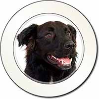 Black Border Collie Dog Car or Van Permit Holder/Tax Disc Holder