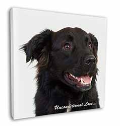 Black Border Collie With Love Square Canvas 12"x12" Wall Art Picture Print