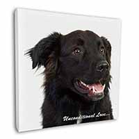 Black Border Collie With Love 12"x12" Canvas Wall Art Picture Print