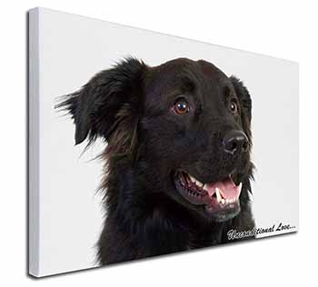 Black Border Collie With Love Canvas X-Large 30"x20" Wall Art Print