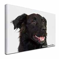 Black Border Collie With Love X-Large 30"x20" Canvas Wall Art Print