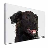 Black Border Collie With Love Canvas X-Large 30"x20" Wall Art Print