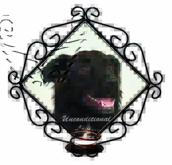 Black Border Collie With Love Wrought Iron Wall Art Candle Holder