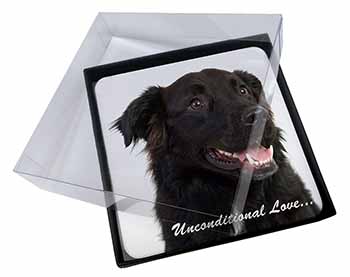 4x Black Border Collie With Love Picture Table Coasters Set in Gift Box