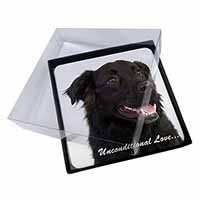 4x Black Border Collie With Love Picture Table Coasters Set in Gift Box