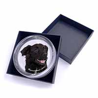 Black Border Collie With Love Glass Paperweight in Gift Box
