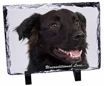 Black Border Collie With Love, Stunning Photo Slate