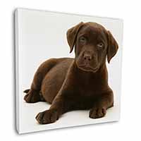 Chesapeake Bay Retriever Dog Square Canvas 12"x12" Wall Art Picture Print