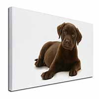 Chesapeake Bay Retriever Dog Canvas X-Large 30"x20" Wall Art Print