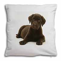 Chesapeake Bay Retriever Dog Soft White Velvet Feel Scatter Cushion