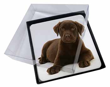 4x Chesapeake Bay Retriever Dog Picture Table Coasters Set in Gift Box