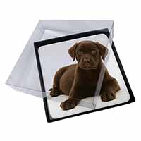 4x Chesapeake Bay Retriever Dog Picture Table Coasters Set in Gift Box