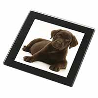 Chesapeake Bay Retriever Dog Black Rim High Quality Glass Coaster