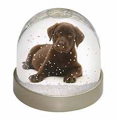 Chesapeake Bay Retriever Dog Snow Globe Photo Waterball