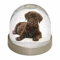 Chesapeake Bay Retriever Dog Snow Globe Photo Waterball