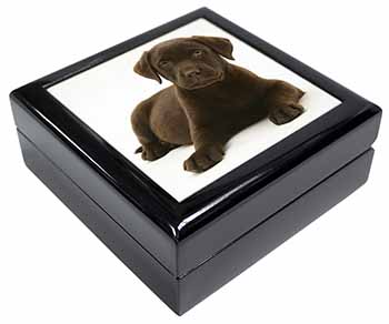 Chesapeake Bay Retriever Dog Keepsake/Jewellery Box