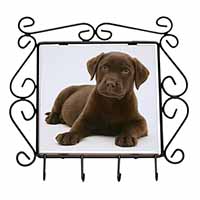 Chesapeake Bay Retriever Dog Wrought Iron Key Holder Hooks