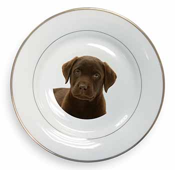 Chesapeake Bay Retriever Dog Gold Rim Plate Printed Full Colour in Gift Box
