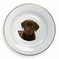 Chesapeake Bay Retriever Dog Gold Rim Plate Printed Full Colour in Gift Box