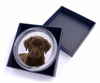 Chesapeake Bay Retriever Dog Glass Paperweight in Gift Box
