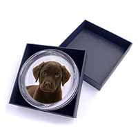 Chesapeake Bay Retriever Dog Glass Paperweight in Gift Box