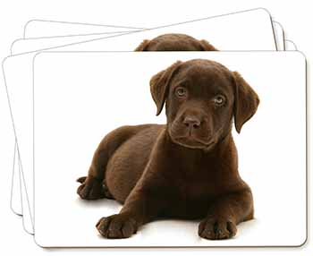 Chesapeake Bay Retriever Dog Picture Placemats in Gift Box