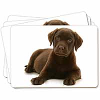 Chesapeake Bay Retriever Dog Picture Placemats in Gift Box