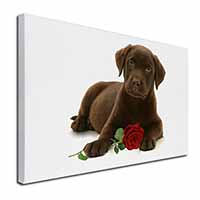 Chesapeake Bay Retriever with Rose Canvas X-Large 30"x20" Wall Art Print