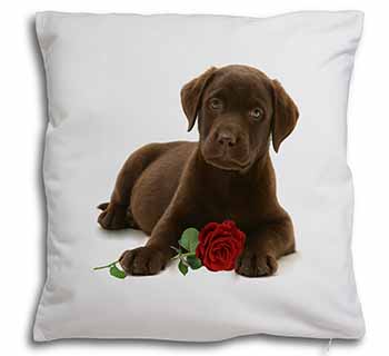 Chesapeake Bay Retriever with Rose Soft White Velvet Feel Scatter Cushion