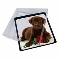 4x Chesapeake Bay Retriever with Rose Picture Table Coasters Set in Gift Box