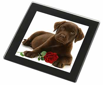 Chesapeake Bay Retriever with Rose Black Rim High Quality Glass Coaster