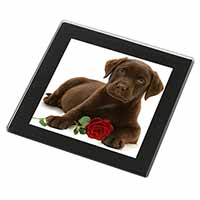 Chesapeake Bay Retriever with Rose Black Rim High Quality Glass Coaster